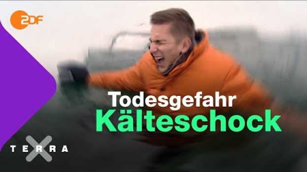 Video Was in unserem Körper passiert, wenn wir in ein Eisloch stürzen | Terra X plus po polsku