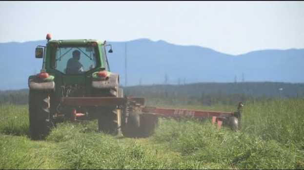 Video La semaine verte | Retour sur l'été agricole en español