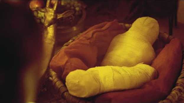 Video Why Were Mummified Babies Found in Tutankhamun's Tomb?   türkçe