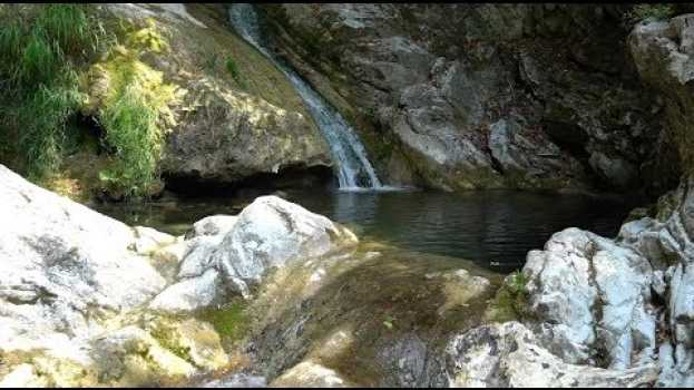 Video Viaggio sul Monte San Giorgio, la montagna patrimonio Unesco en français