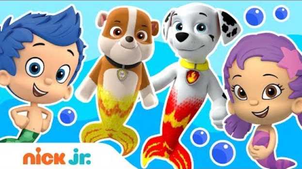 Video How Bubble Guppies & PAW Patrol Merpups Are Alike! 🧜| Nick Jr. su italiano