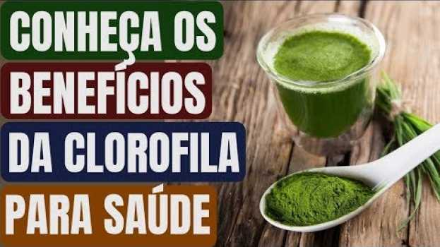Video Isso é o que Acontece com seu Corpo quando Consome Clorofila! Benefícios da Clorofila para Saúde! su italiano