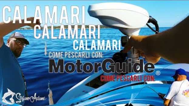 Video Calamari con il motore elettrico di giorno: Calamari nel pozzo con Guido auf Deutsch