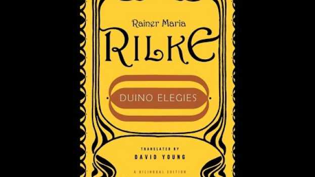 Video Plot summary, “Duino Elegies” by Rainer Maria Rilke in 5 Minutes - Book Review en français