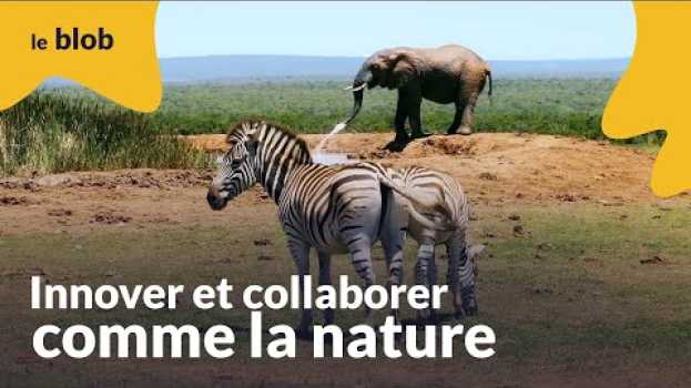 Видео Innover et collaborer comme la nature | Nature=Futur ! на русском