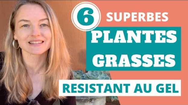 Video 5 superbes plantes grasses exterieur resistant au gel (+ 1 bonus)   türkçe