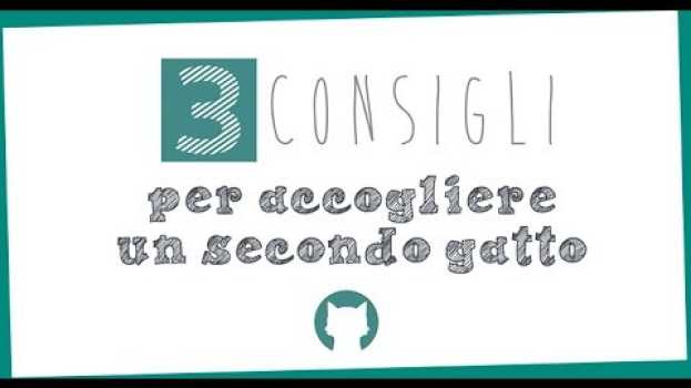 Video 3 consigli per accogliere il secondo gatto em português