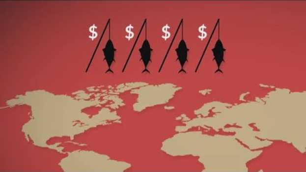 Video La semaine verte | Quel a été le prix le plus élevé jamais payé pour un thon rouge? in English