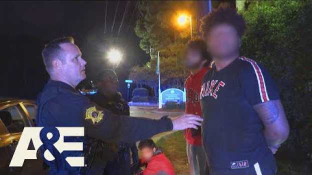 Video Live PD: So High Right Now (Season 4) | A&E em português