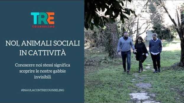 Video Noi, animali sociali in cattività en español
