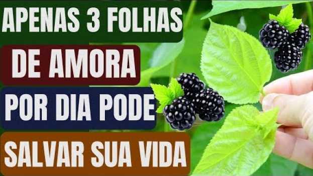 Video Apenas 3 Folhas de Amora por dia pode Salvar a sua Vida e evitar essas 12 Doenças! in English