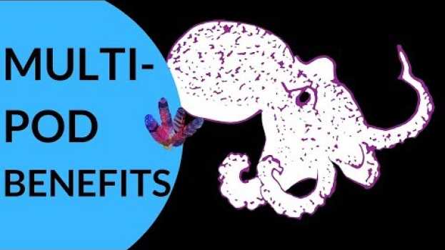 Video The benefits of being a multi passionate en français