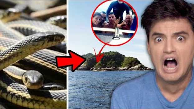 Video 4 HOMENS CAÍRAM NA ILHA DAS COBRAS! Sobreviveram? [+10] in English