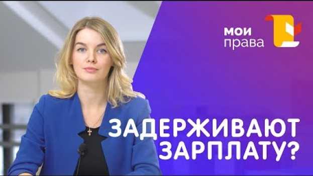Video Что делать, если задерживают зарплату? Куда жаловаться? / МОИ ПРАВА su italiano