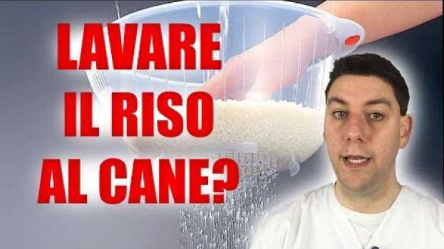 Video Come cuocere pasta, riso e patate nelle diete casalinghe? auf Deutsch