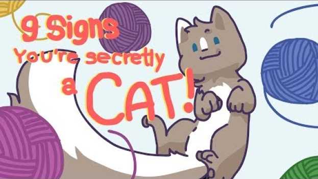 Video 9 Signs You're Secretly a Cat - MEOW! po polsku