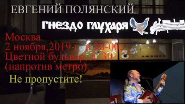 Video Евгений Полянский. Гнездо глухаря. 2/11/ 2019 года. in English