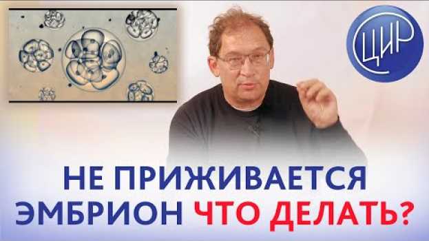 Video Не приживается эмбрион. Что делать, если при ЭКО не имплантируются эмбрионы. Отвечает Гузов И.И. su italiano