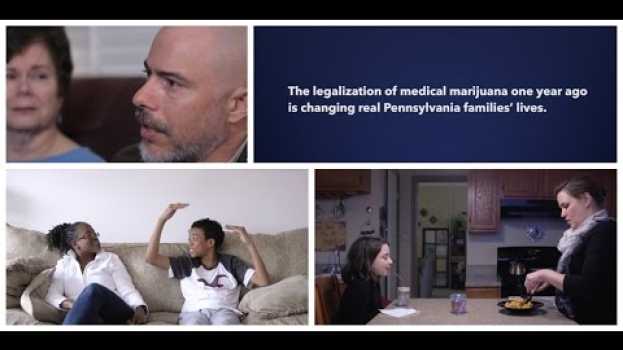 Video Medical Marijuana One-Year Anniversary Celebrates People and Progress   türkçe