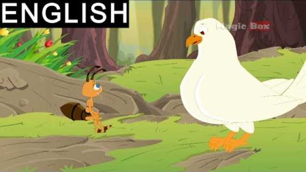 Video The Ant And The Dove - Aesop's Fables - Animated/Cartoon Tales For Kids en français