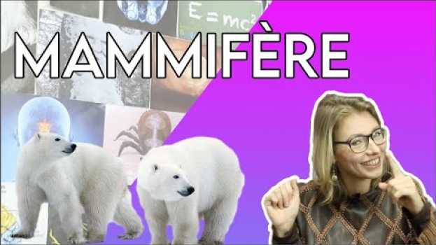 Video Mammifère? La définition dans "Les sciences et moi" su italiano