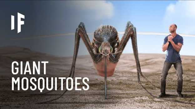 Video What If Mosquitoes Were the Size of Humans? su italiano