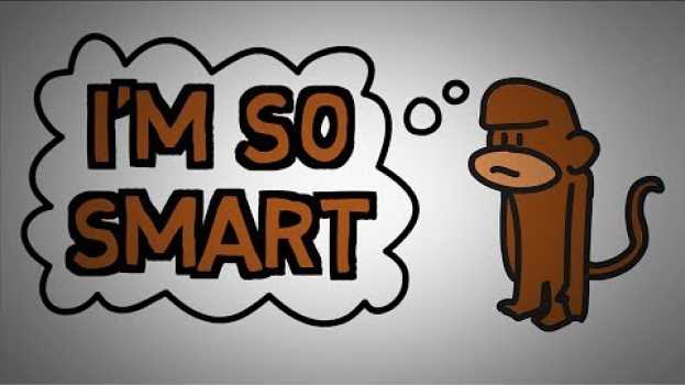 Video Why Do Stupid People Think They're Smart? The Dunning Kruger Effect (animated) po polsku
