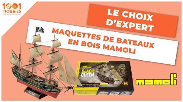 Video On vous parle de notre sélection de maquettes de bateaux en bois ?⛵ in English