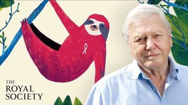 Видео Why is biodiversity important - with Sir David Attenborough | The Royal Society на русском