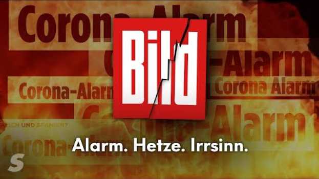 Video Exposed: Bild und ihr Corona-Alarm po polsku
