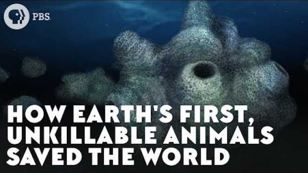 Video How Earth's First, Unkillable Animals Saved the World su italiano