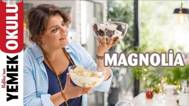Video Evde Kolay Magnolia Tarifi I Kağıt Helvalı ve Kakaolu Bisküvili Magnolia en français