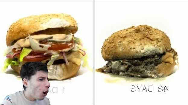 Video TIME LAPSE DI CIBO CHE AMMUFFISCE! - Prova A Non Vomitare po polsku