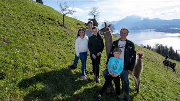 Video Neues Monatsprojekt: Unterstützen Sie jetzt Familie Rutz aus Küssnacht am Rigi und ihre Lamas in English