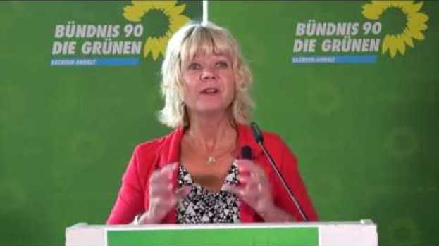 Video Conny Lüddemann auf dem 40. Landesparteitag su italiano