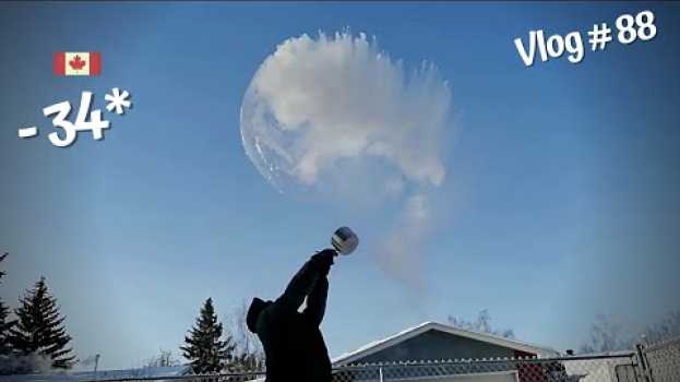 Video ?? Se Evapora el AGUA! VLOG - 88 ?? ( Subtitles in English) ( Argentino en Canada ) en français