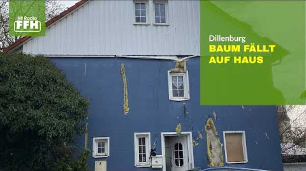Video Sturmschäden nach Ylenia - auch in Dillenburg em português