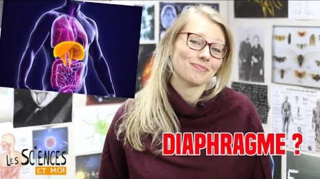 Video Diaphragme: la définition dans "Les Sciences et moi" en español