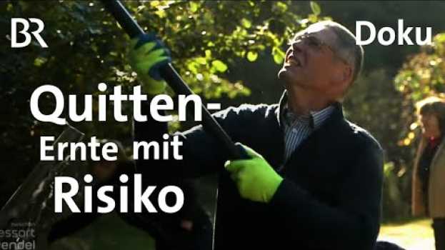 Video Der Quitten-Garten: Feines aus Früchten in Hüttenkofen | Zwischen Spessart und Karwendel | Doku | BR em português
