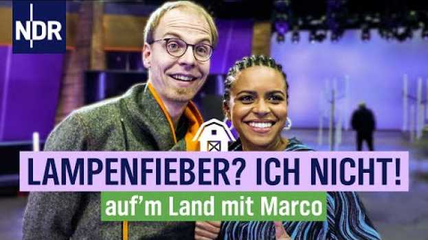 Video Marco Scheel zwischen Talkshow & Schafen | Folge  4 | NDR auf'm Land   türkçe