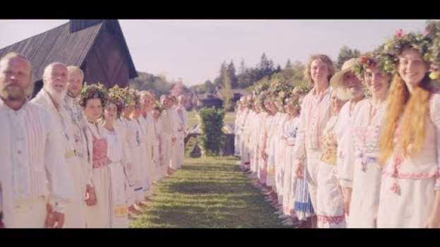 Video Midsommar – O mal não espera a noite | Trailer 1 Oficial Dublado   türkçe