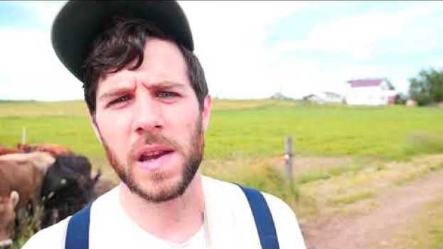Video One Dan Man Band (Milk Money) - Hip Hop is Easy po polsku