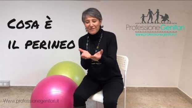 Video Cosa è il pavimento Pelvico? Curalo per stare bene con te stessa po polsku