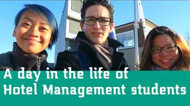 Video A Day in the Life of a Hotel Management Student - Studying in Holland en español