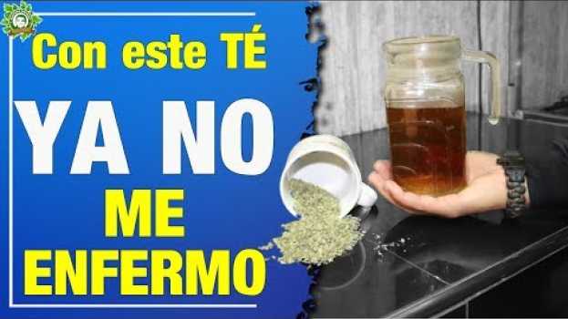 Video Esto Me Ayudo A No Enfermarme, Y Sólo Tomo TÉ de ORÉGANO 3 Veces A La Semana   türkçe