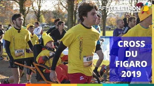 Video Cross du Figaro : ils ont couru contre la maladie ! | Téléthon 2019 em português