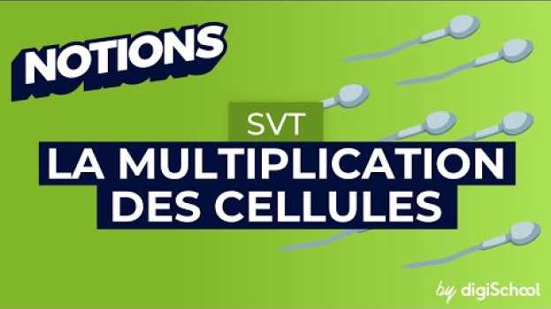Video Qu'est-ce que la mitose (division cellulaire) ? SVT 3e en español
