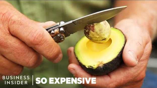 Video Why Avocados Are So Expensive | So Expensive   türkçe
