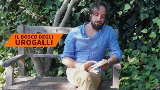Video Il bosco degli Urogalli. Mario Rigoni Stern en español