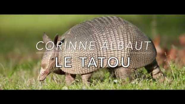 Video LE TATOU Ton thé t'a-t-il ôté ta toux ? Corinne Albaut (Mis en musique et interprété par Agathe MD) en español